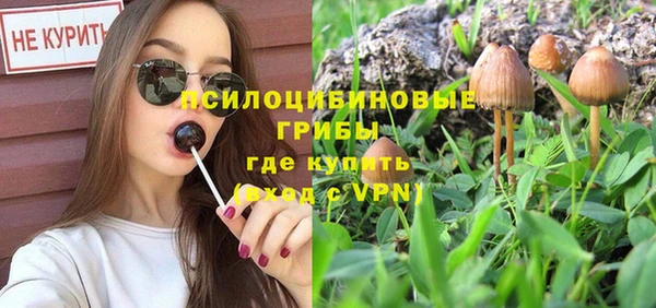 а пвп мука Алексеевка