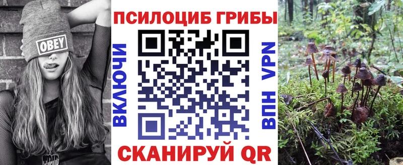 Псилоцибиновые грибы мухоморы  как найти   Удачный 